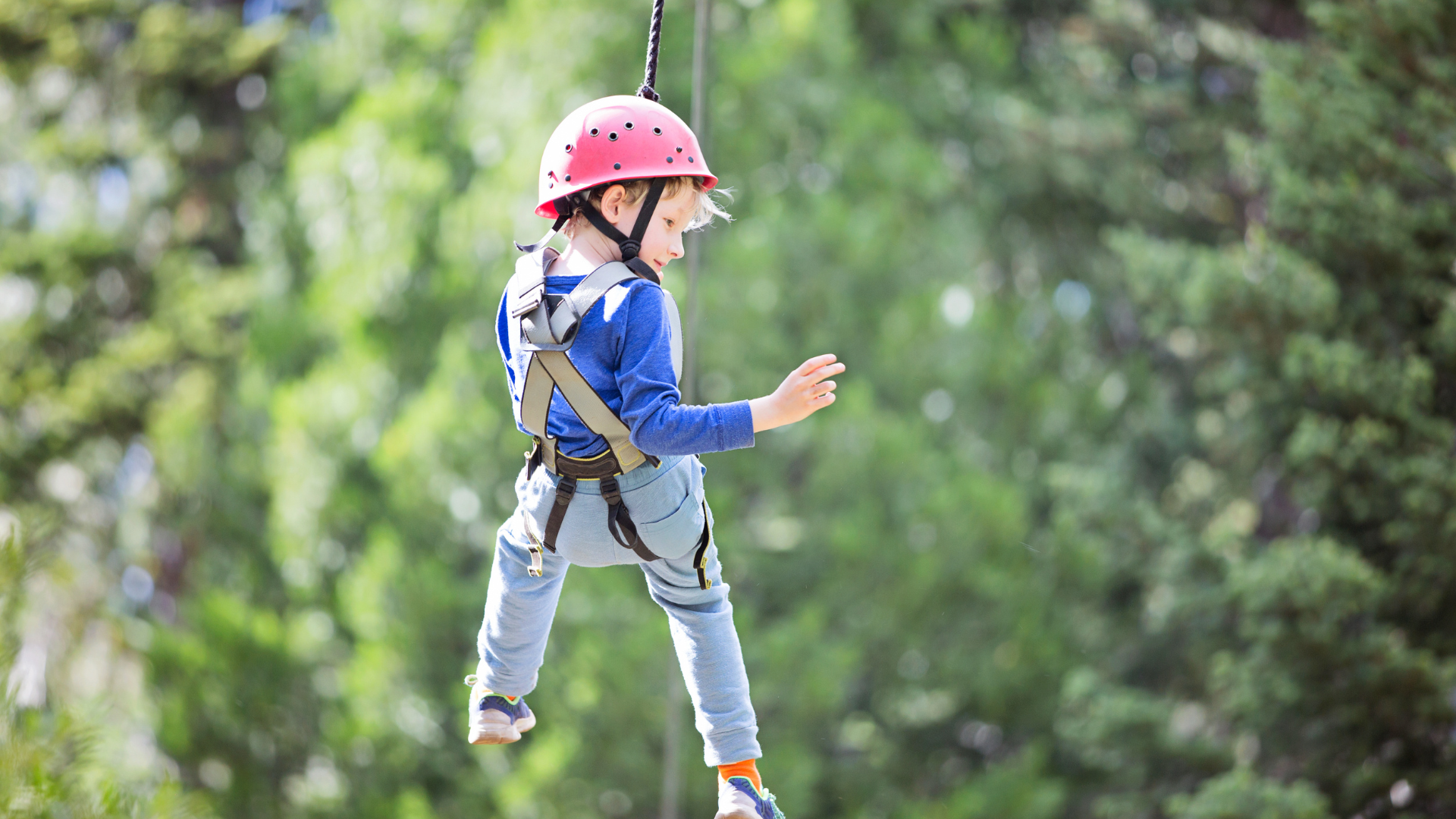 Les parcs les plus attractifs en Corse