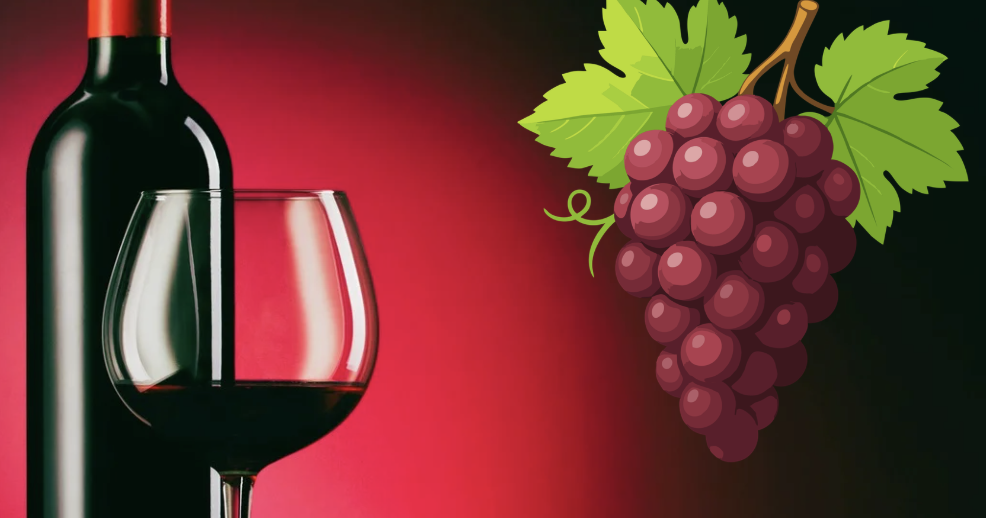 Les meilleurs vins corses